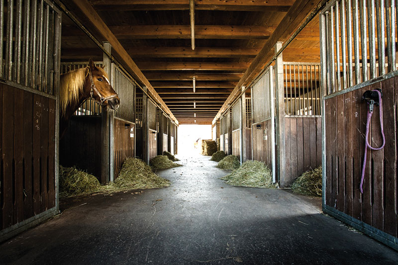 FA_05_16_Lindenhof-03